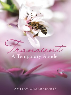 cover image of Transient – a Temporary Abode